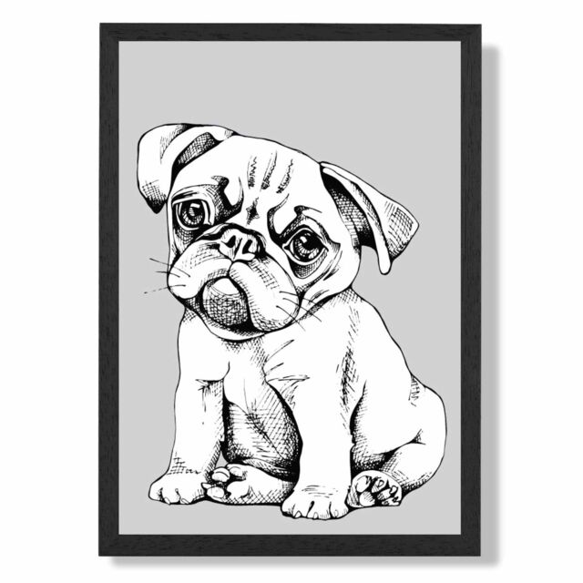 ARTZE Sketch Pug Dog on Light Grey Framed Print SIZE: A3 with Black Frame - image 1