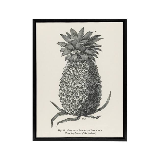 "Artery8 Vintage Black White Pineapple Illustration Wright Framed Canvas Art - Size: W18"" x H24""" - image 1