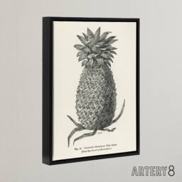 "Artery8 Vintage Black White Pineapple Illustration Wright Framed Canvas Art - Size: W18"" x H24""" - thumbnail 2
