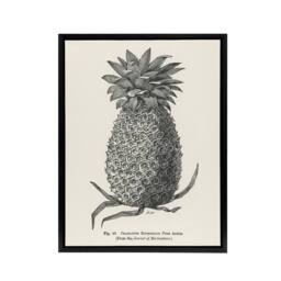 "Artery8 Vintage Black White Pineapple Illustration Wright Framed Canvas Art - Size: W18"" x H24""" - thumbnail 1
