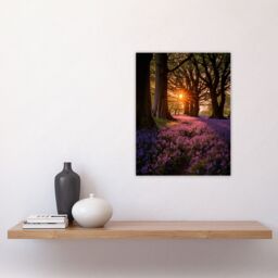 "Artery8 Wall Art Print Purple Bluebell Woods At Dawn Sunrise Peaceful Elegant Artwork Poster - Size: W12"" x H16""" - thumbnail 4