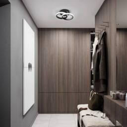 Pheashine Modern LED ceiling light, white light 6500K, round 25cm Indoor Use in Black - thumbnail 5