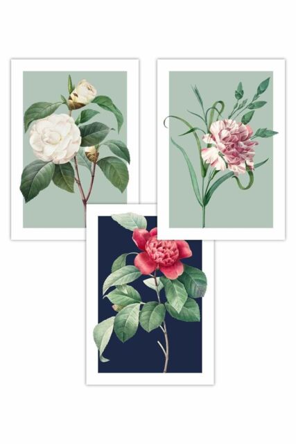 ARTZE Set of 3 Vintage Flowers Camellia Blue & Green Art Posters in Navy - Size: W50 cm x H70 cm - image 1