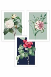 ARTZE Set of 3 Vintage Flowers Camellia Blue & Green Art Posters in Navy - Size: W50 cm x H70 cm - thumbnail 1