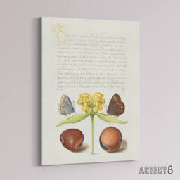 "Artery8 Moths Jerusalem Sage & Beans Calligraphy Canvas Wall Art Print in White - Size: W18"" x H24""" - thumbnail 2