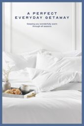 Snuggledown Hotel Goose Feather & Down 10.5 Tog All Year Round Duvet With 2 Pillows in White - Size: Super King - thumbnail 2