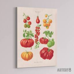 "Artery8 Tomatoes or Love Apples Ernst Benary Canvas Wall Art Print in White - Size: W12"" x H16""" - thumbnail 2