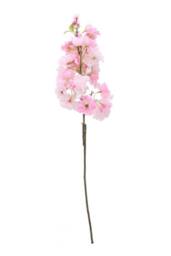 KDMD Light Pink Single Apple Blossom 2 Pack - thumbnail 2
