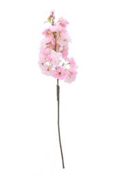 KDMD Light Pink Single Apple Blossom 2 Pack - thumbnail 1