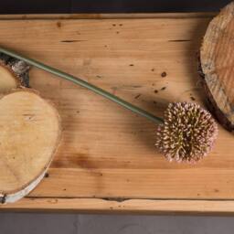 Love Lace Pink Allium Artificial Flower - thumbnail 2