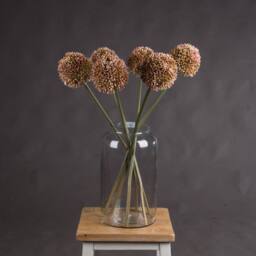 Love Lace Pink Allium Artificial Flower - thumbnail 1