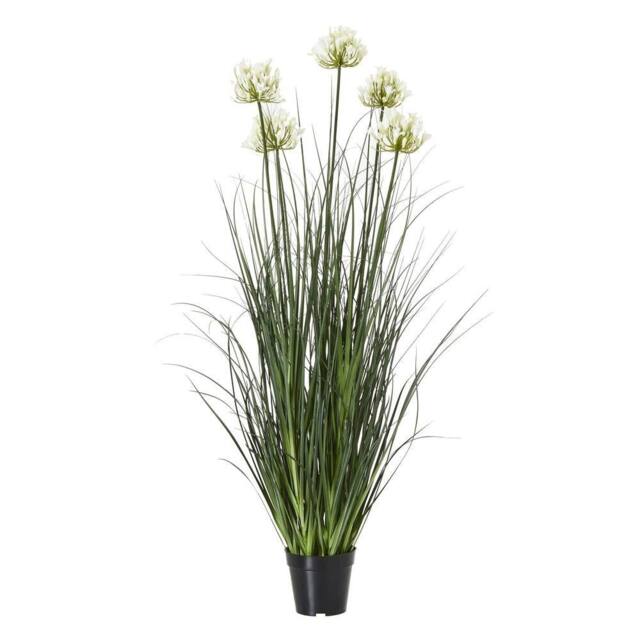 Wyld Haus 120cm White Artificial Agapanthus Plant in Black Pot - image 1