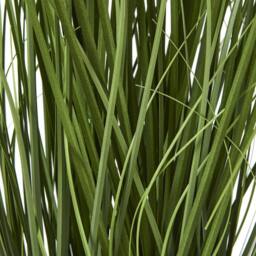 Wyld Haus 120cm White Artificial Agapanthus Plant in Black Pot - thumbnail 4