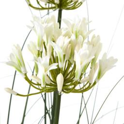 Wyld Haus 120cm White Artificial Agapanthus Plant in Black Pot - thumbnail 2