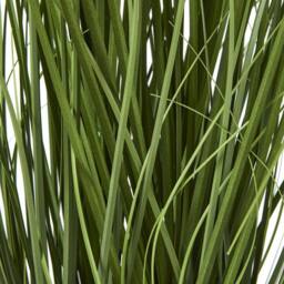 Wyld Haus 120cm White Artificial Agapanthus Plant in Black Pot - thumbnail 5