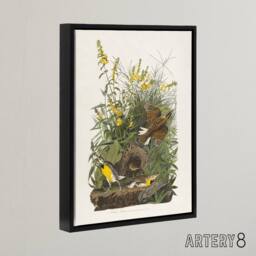 "Artery8 Meadowlark Bird False Foxglove Audubon Black Framed Canvas Wall Art in White - Size: W12"" x H16""" - thumbnail 2