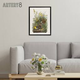 "Artery8 Meadowlark Bird False Foxglove Audubon Black Framed Canvas Wall Art in White - Size: W12"" x H16""" - thumbnail 3