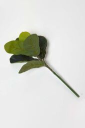 Homescapes Artificial Ficus Branch, 46 cm in Green - thumbnail 1