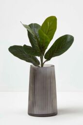 Homescapes Artificial Ficus Branch, 46 cm in Green - thumbnail 5