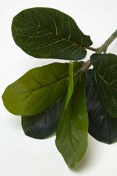 Homescapes Artificial Ficus Branch, 46 cm in Green - thumbnail 3