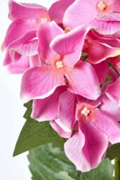 Homescapes Small Artificial Hydrangea Flower in Pot, 38 cm Tall in Pink - thumbnail 4