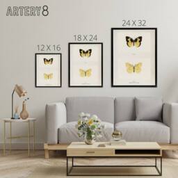 "Artery8 Southern Dogface Butterfly Sherman Denton Framed Canvas Wall Art Print in White - Size: W12"" x H16""" - thumbnail 4