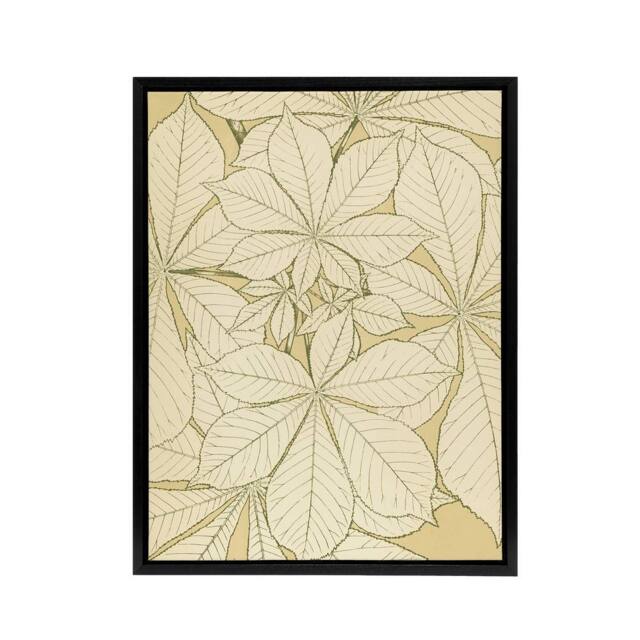 "Artery8 Leaves From Nature No 1 Botanical Jones Vintage Framed Canvas Wall Art in Beige - Size: W12"" x H16""" - image 1
