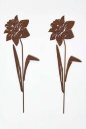 Homescapes Steel Narcissus Garden Stake Decorations, Set of 2 in Brown - thumbnail 1