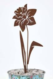 Homescapes Steel Narcissus Garden Stake Decorations, Set of 2 in Brown - thumbnail 4