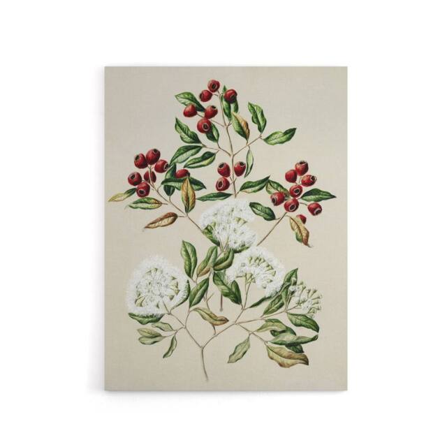 "Artery8 New Zealand Maire Tawake Tree Flowers Featon Canvas Wall Art Print in Beige - Size: W12"" x H16""" - image 1