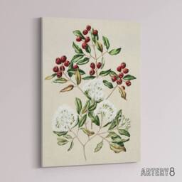 "Artery8 New Zealand Maire Tawake Tree Flowers Featon Canvas Wall Art Print in Beige - Size: W12"" x H16""" - thumbnail 2
