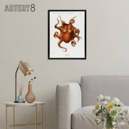 "Artery8 Octopus Vintage Illustration Carl Chun Framed Canvas Wall Art Print in White - Size: W12"" x H16""" - thumbnail 3
