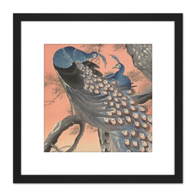 Artery8 Ohara Koson Two Peacocks On Tree Branch Painting 8X8 Inch Square Wooden Framed Wall Art Print Picture with Mount in Black - image 1