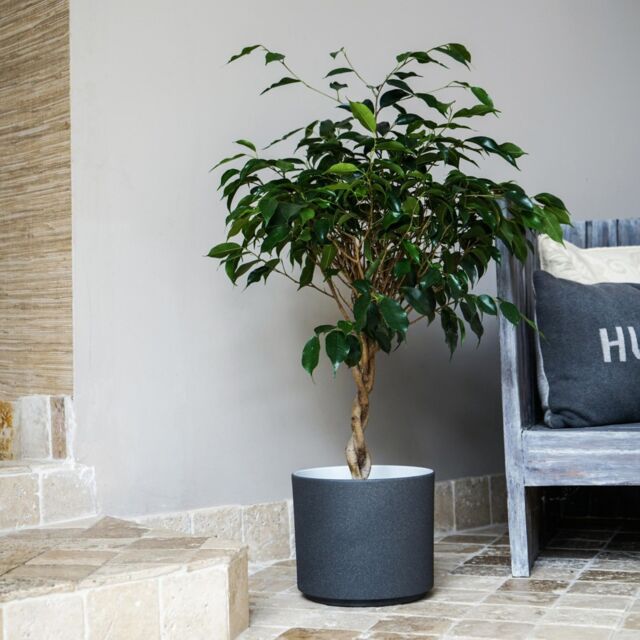 Ivyline Leon Granite Planter, H27cm x D32cm in Stone - image 1