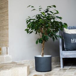 Ivyline Leon Granite Planter, H27cm x D32cm in Stone - thumbnail 1