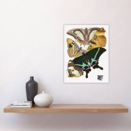 "Artery8 Bright Vintage Butterflies Papillons Wall Art Print Eugene Seguy - Size: W12"" x H16""" - thumbnail 4