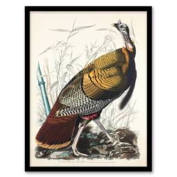 Artery8 John James Audubon Framed Wall Art Print Birds of America Wild Turkey in White - Size: A4 - thumbnail 1
