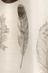 Fusion 'Idaho' 100% Cotton Feather Motif Pair of Eyelet Curtains in Charcoal - Size: 229 cm width x 229 cm drop - thumbnail 3