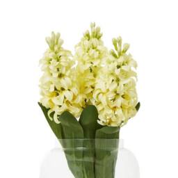 Lemon Pavilion Furniture and Decor Hyacinth (Single Stem Flower) - Plastic - Height 44 cm - Yellow - thumbnail 3
