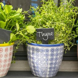 Nicola Spring Hand-Printed Plant Pot - 14cm in Navy - thumbnail 5