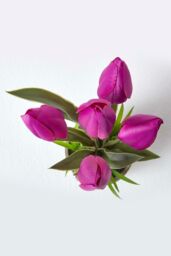 Homescapes Artificial Tulips in Grey Decorative Stone Pot, 27 cm in Purple - thumbnail 2