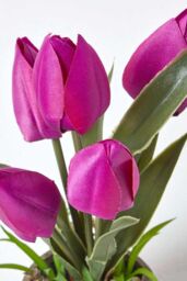 Homescapes Artificial Tulips in Grey Decorative Stone Pot, 27 cm in Purple - thumbnail 4