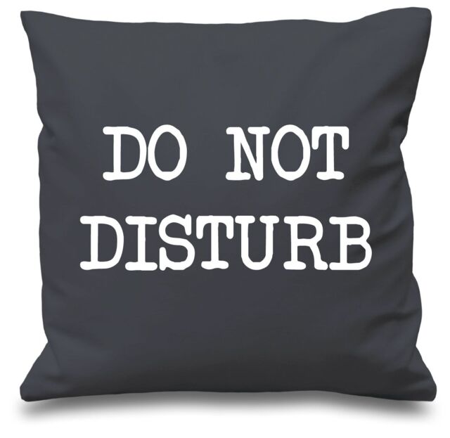 "60 SECOND MAKEOVER Grey Cushion Cover Do Not Disturb 16"" x 16"" Mum Friend Gift Decorative Cushion Home Mothers Day - Size: 40 cm x 40 cm"