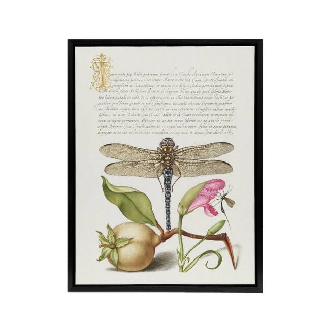 "Artery8 Dragonfly Pear & Carnation Calligraphy Framed Canvas Wall Art Print in White - Size: W12"" x H16""" - image 1