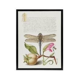 "Artery8 Dragonfly Pear & Carnation Calligraphy Framed Canvas Wall Art Print in White - Size: W12"" x H16""" - thumbnail 1