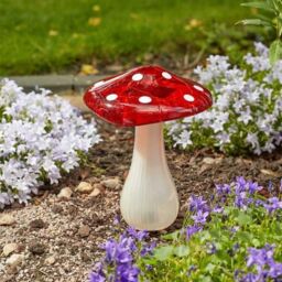 Marco Paul 23cm Large Solar Powered Mushroom Garden Ornament in Red - thumbnail 2