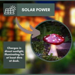 Marco Paul 23cm Large Solar Powered Mushroom Garden Ornament in Red - thumbnail 7