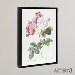 "Artery8 Pink Rosebush Flowers Redoute Vintage Black Framed Canvas Wall Art in White - Size: W12"" x H16""" - thumbnail 2