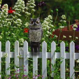 mysmartbuy Decoy Owl Bird Scarer - Lifelike Weatherproof Ornament with Reflective Eyes & 360 Rotating Head for Deterring Birds & Rodents - thumbnail 2