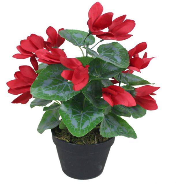 Leaf Artificial Red Flower Plant Cylamen Green Red 38cm Plants
